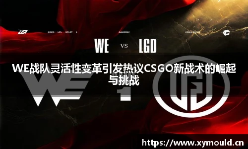 WE战队灵活性变革引发热议CSGO新战术的崛起与挑战